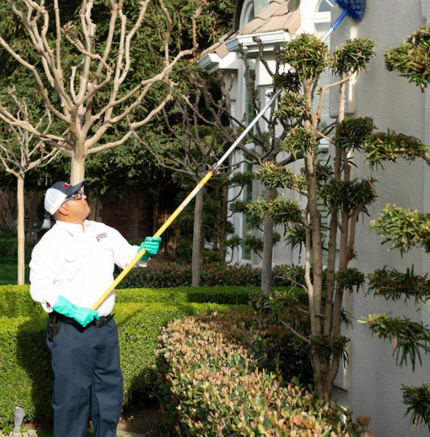 An AB Pest Control technician removing spider webs from the exterior of a house in Bakersfield, CA.