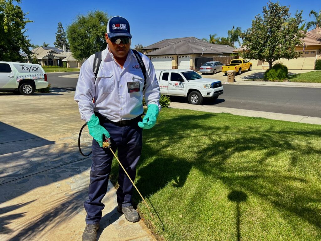 An AB Pest Control technician spraying the edge of a lawn and sidewalk at a residential property in Bakersfield, CA.