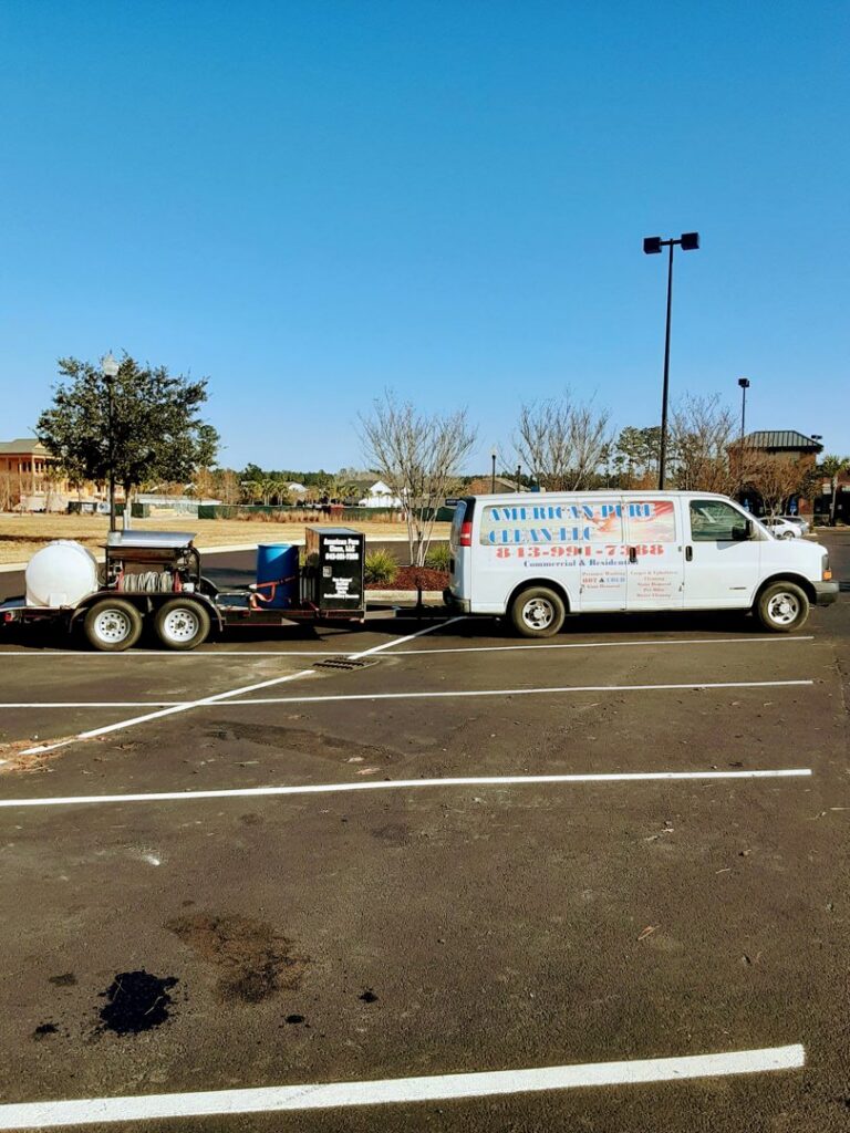 Abstract patterned area rug with visible cleaning lines after service by American Pure Clean, LLC in Charleston, SC