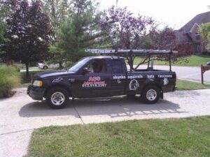 The ACS Animal Removal service truck, clearly listing wildlife services like skunks, squirrels, bats, and raccoons in Cincinnati, OH.