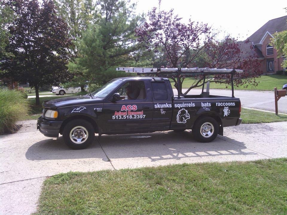 The ACS Animal Removal service truck, clearly listing wildlife services like skunks, squirrels, bats, and raccoons in Cincinnati, OH.