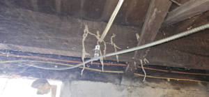 Active termite tunnels (mud tubes) on wooden joists and electrical conduits, showing a pest control issue for MJ's Absolute Solutions in Parma, OH.