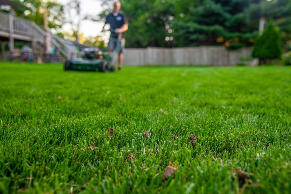 Fresh aeration plugs visible on a vibrant green lawn after service by Aeration Pros Lawn Care LLC in McFarland, WI.
