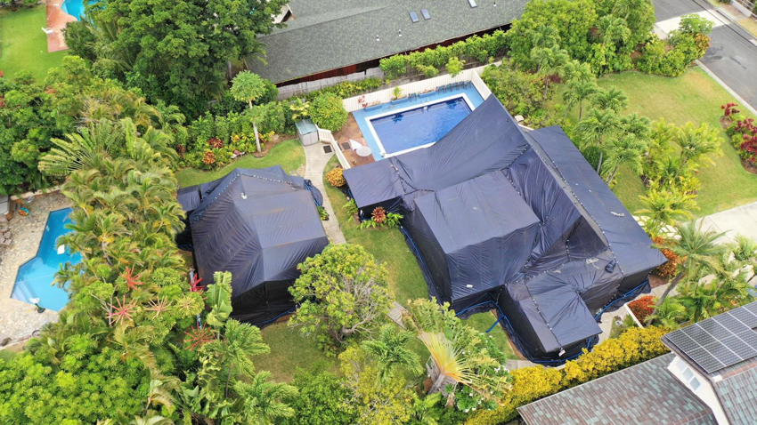 An aerial view showing two residential houses tented for termite fumigation by Oahu Termite and Pest Control in Pearl City, HI.