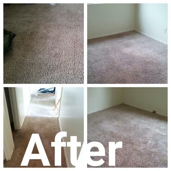 Collage of freshly cleaned carpets after service by R & R Cleaning Services in Goose Creek, SC.