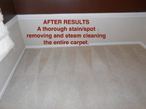 After results of a thorough stain and spot removal with steam cleaning by BareFoot Clean, Inc. in Virginia Beach, VA.