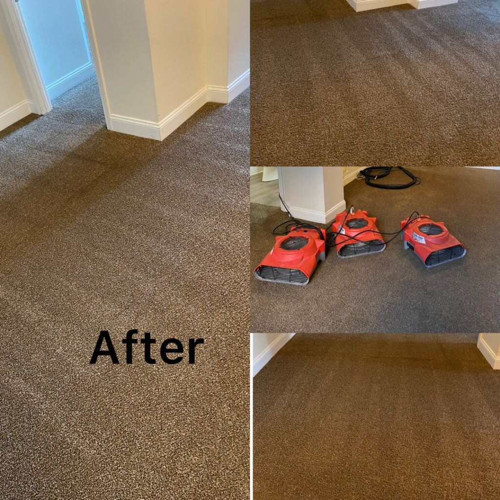 Clean carpet after professional cleaning with air movers by Express Cleaning in Lowell, MA.