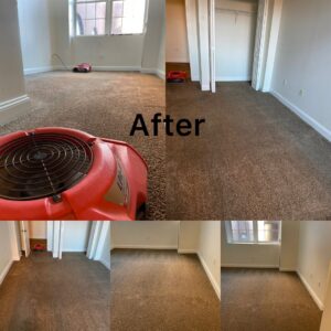 A room with clean carpet and air movers after professional cleaning by Express Cleaning in Lowell, MA