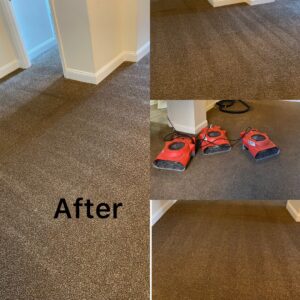 Clean carpeted areas with air movers after professional cleaning by Express Cleaning in Lowell, MA