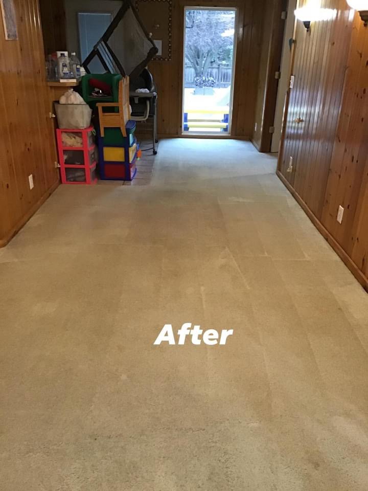 A light brown carpet after professional cleaning by Monarch Cleaning Solutions in Parkville, MO