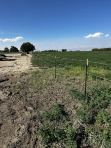 Agricultural wire fence with T-posts bordering a green field by Cowboy State Fencing LLC in Riverton, WY.