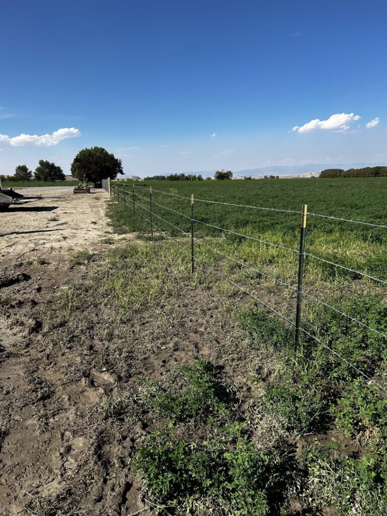 Agricultural wire fence with T-posts bordering a green field by Cowboy State Fencing LLC in Riverton, WY.