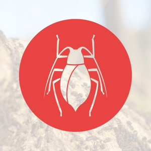 Alaska Pest Management