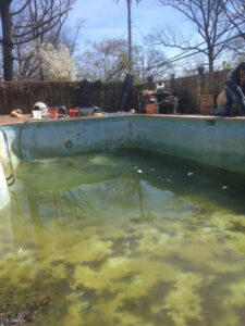 An algae-filled, murky green pool clearly needing professional cleaning from A-Grade Pools in Knoxville, TN.