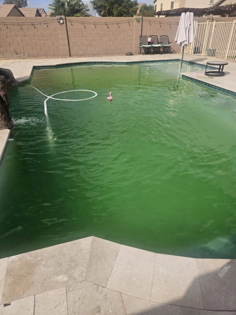 An algae-filled green swimming pool with a vacuum hose, undergoing cleaning by Pool Pals in Franklin, MA.
