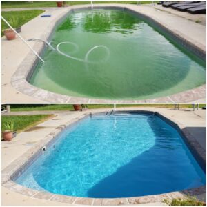 Before and after photos of an algae-green pool cleaned to a vibrant blue by Pool Doctors in Cape Coral, FL.