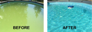 Before and after images of an above-ground pool, showing green, algae-filled water cleaned to sparkling blue by Magic Iron Filter in Madison, WI.