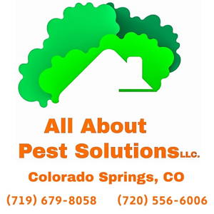 All About Pest Solutions