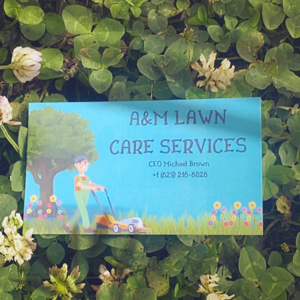 A&M Lawn Care Service LLC