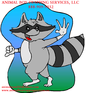 Animal Boy Trapping Services LLC