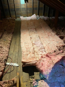 Close-up view of animal droppings on attic insulation, indicating a wildlife pest problem addressed by Eagles Eye Wildlife in Waterbury, CT.