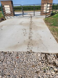 Evidence of animal droppings on a concrete driveway, a common sign of wildlife or pest activity handled by Eco-Safe Pest Control in Dallas, TX