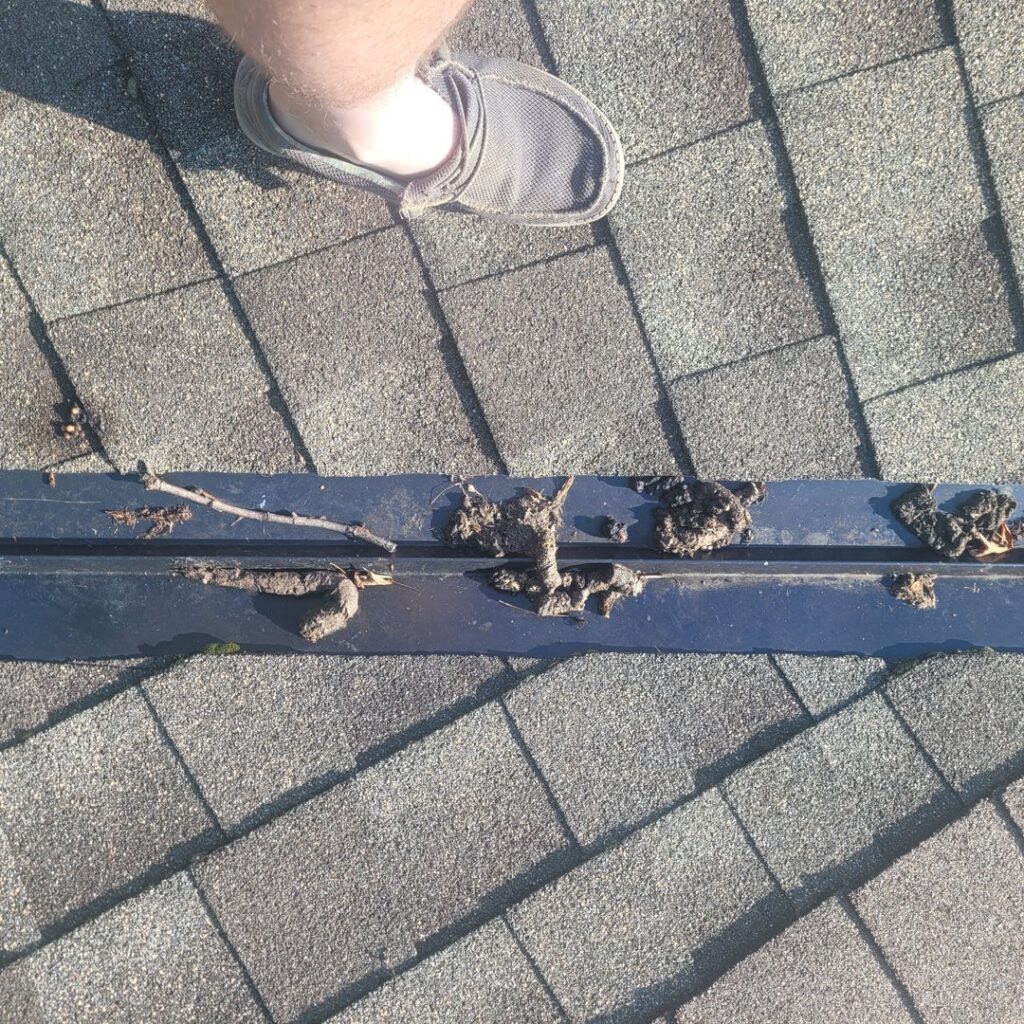 Animal droppings and debris on a roof vent, indicating a wildlife inspection by JB Wildlife & pest removal in Northfield, OH.