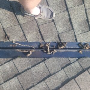 Animal droppings and debris on a roof vent, indicating a wildlife inspection by JB Wildlife & pest removal in Northfield, OH.