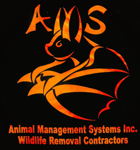 Animal Management Systems Inc