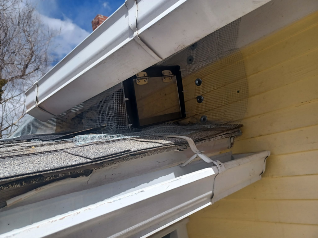 A one-way door and exclusion mesh installed on a roof for humane animal removal by HARP in Colorado Springs, CO.