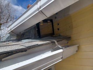 A one-way door and exclusion mesh installed on a roof for humane animal removal by HARP in Colorado Springs, CO.