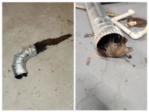 Animal remains found inside a metal HVAC duct, indicating a need for vent cleaning services from HOP 2 IT LLC in Austin, TX.