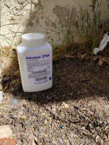Granular ant bait being applied for pest control by Pestpuncherspcs in Rio Rancho, NM.