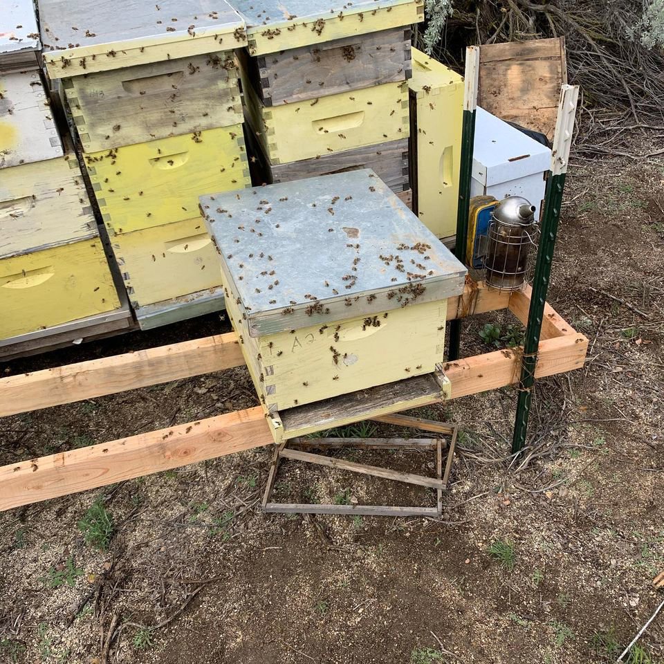An apiary with multiple beehive boxes and a bee smoker, illustrating the bee management services of J R Bees LLC in San Diego, CA.