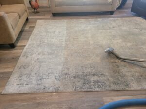 An area rug being cleaned, showing a clear before and after section by Mr. Suds Carpet Cleaning LLC in Coeur d'Alene, ID.