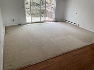 A colorful area rug showing a dramatic before and after cleaning result by Sunshine Carpet Cleaning in Waterbury, CT.