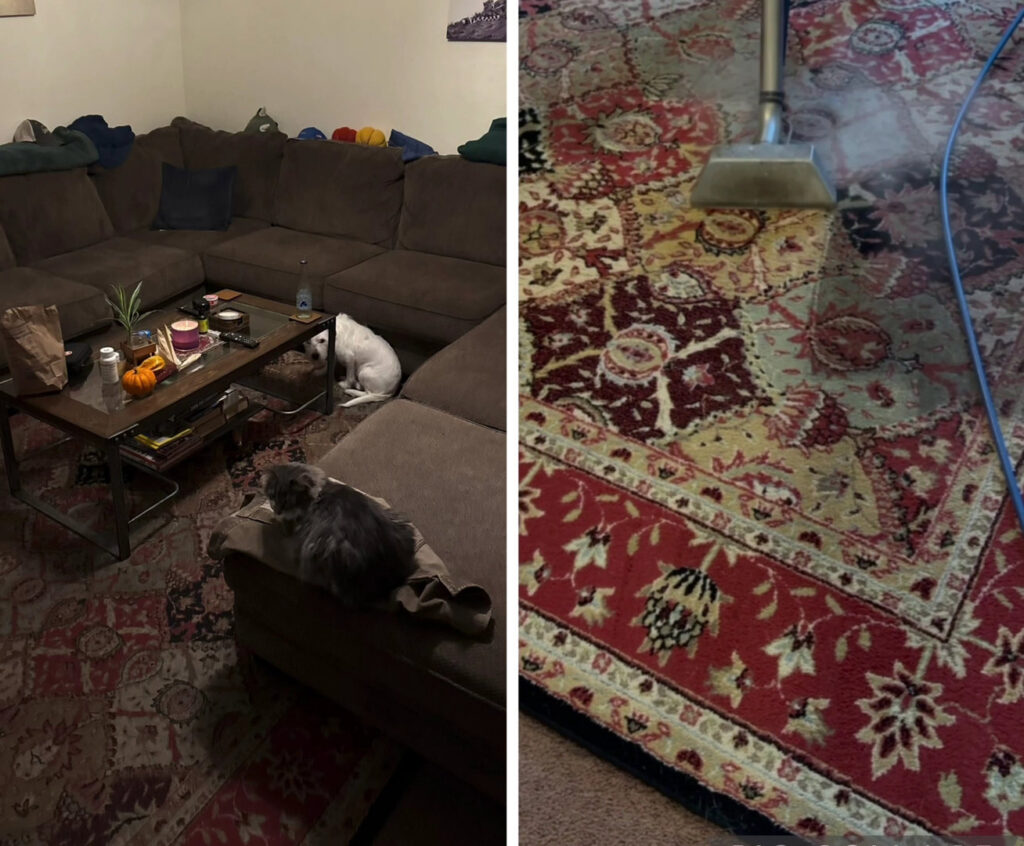 Before and after view of an area rug cleaning by The Barreto Brothers Carpet Cleaning in Sacramento, CA