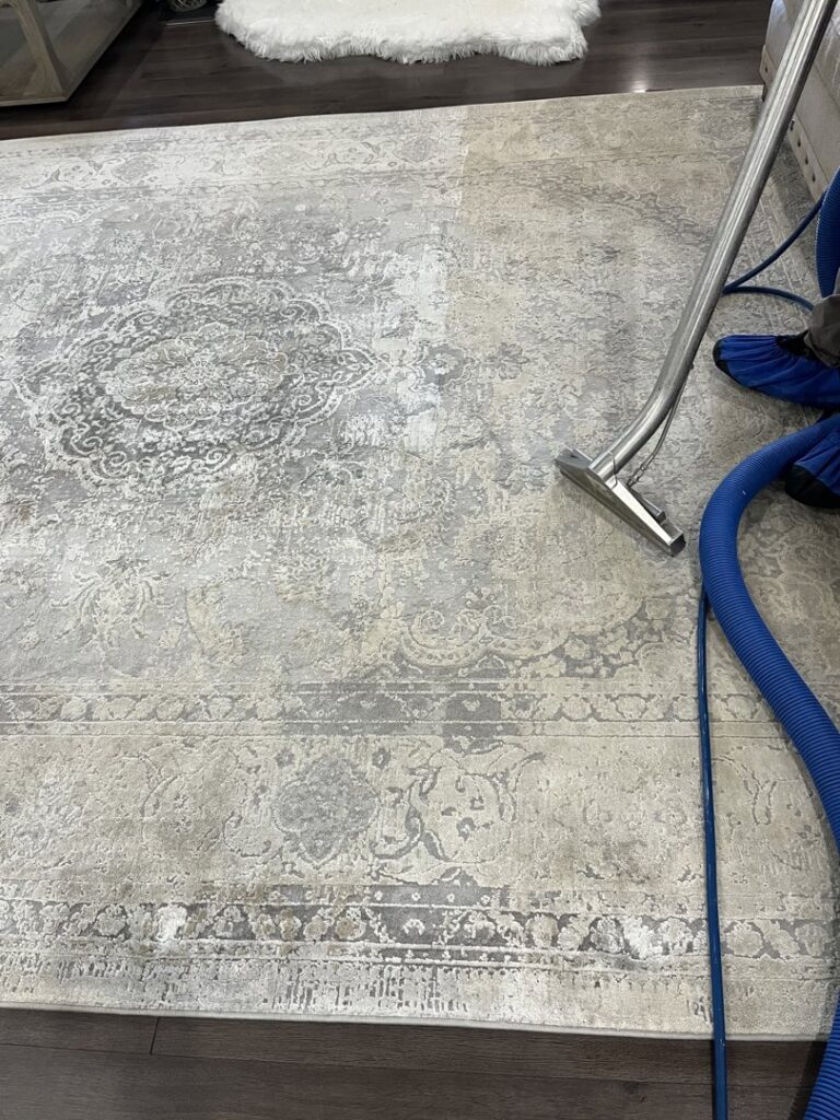 A large area rug being professionally cleaned, showing a clear before and after section by Zerorez Nashville, TN