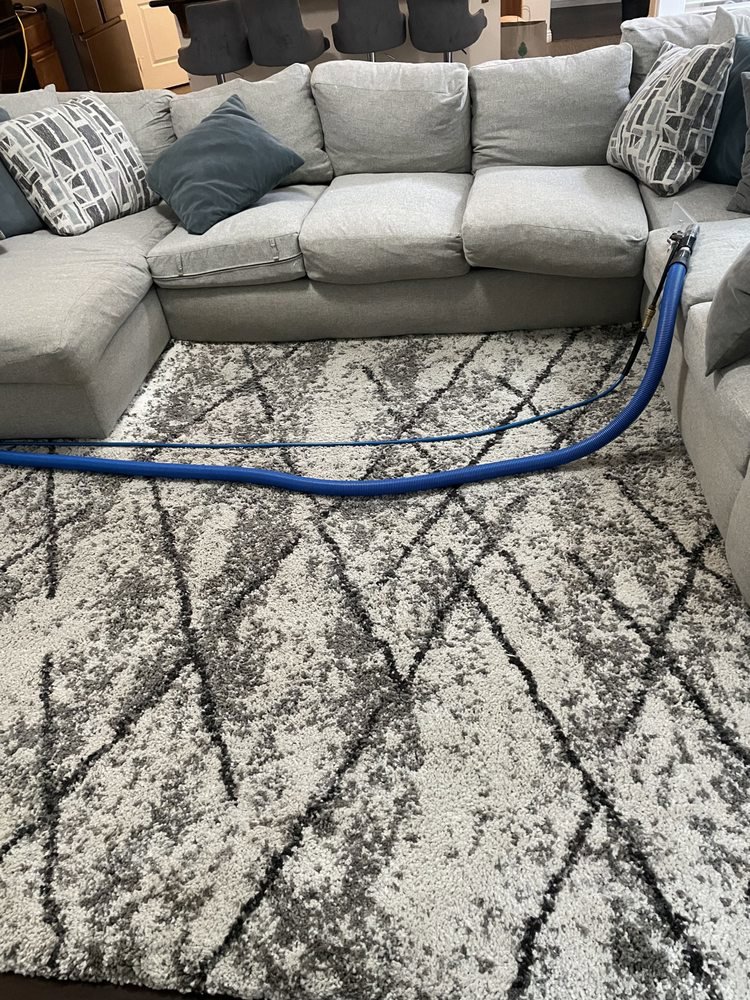 Professional area rug cleaning equipment in use on a patterned rug by GTS future cleaning services in Los Angeles, CA