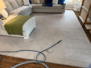Area rug cleaning in a client's living room with cleaning hoses by Thomas Carpet & Oriental Rug Cleaners in Newtown Square, PA