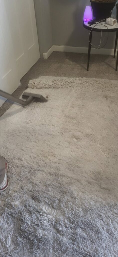 An area rug being professionally cleaned with a specialized tool by Achilles Carpet Cleaning in Vancouver, WA.