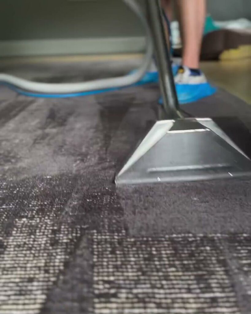 A professional cleaning tool being used to clean an area rug by GreenLine Carpet Cleaning in Aurora, CO.