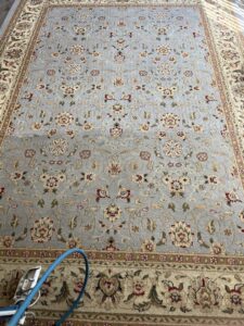 An ornate area rug being professionally cleaned by The Best Carpet & Tile Cleaners in Alva, FL.