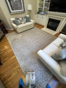 A professional cleaning machine working on an area rug by Tmz Magic Carpet Cleaning in West Hartford, CT.