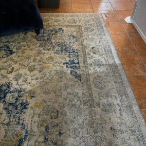 An area rug being cleaned, showing a clean section, by Renew Cleaning Services in Scottsdale, AZ.