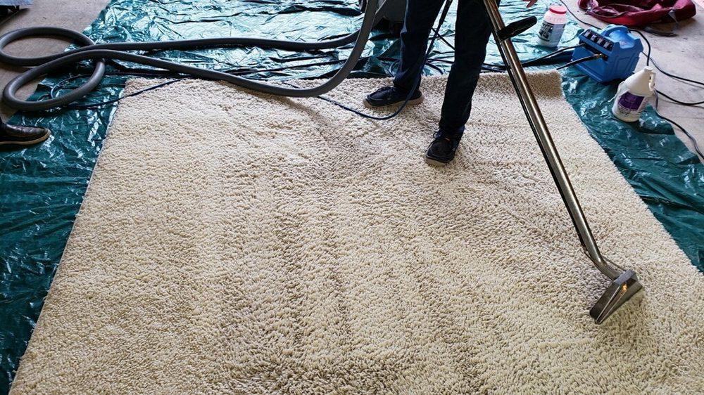 A professional from Anderson Certified, INC. cleaning a large, shaggy area rug in Chicago, IL.