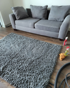 An area rug being cleaned with supplies visible, next to a sofa by Best Carpet Cleaning in Dallas, TX.