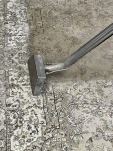 A professional carpet cleaning wand cleaning a patterned area rug, showing a clean path, by Gemini Carpet Cleaning in Lincoln, NE