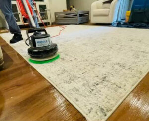 A professional from Muscle Cleaning Services cleaning an area rug with a rotary scrubber in Dallas, TX.