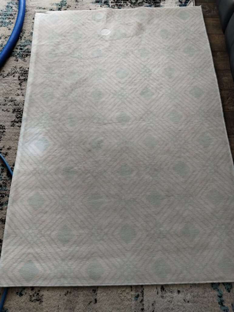 An area rug being professionally cleaned with a hose and tool, demonstrating the rug cleaning service of Norris Carpet Care in Watertown, SD.